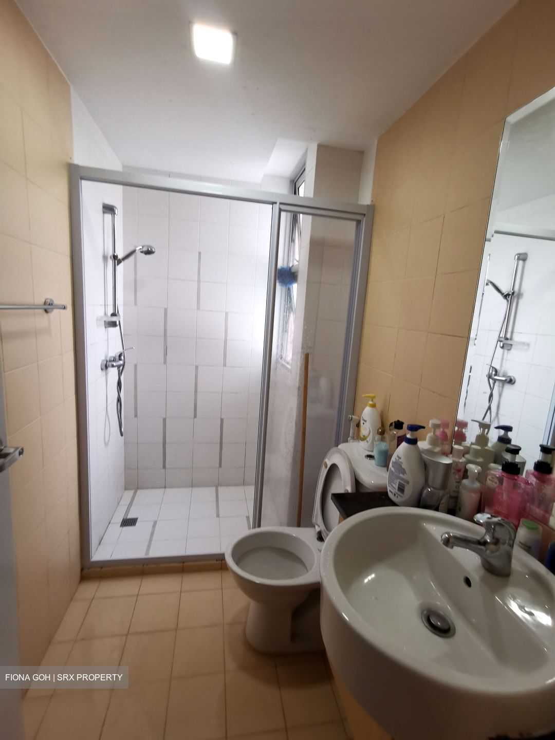 Scenic Heights (D12), Apartment #573044711
